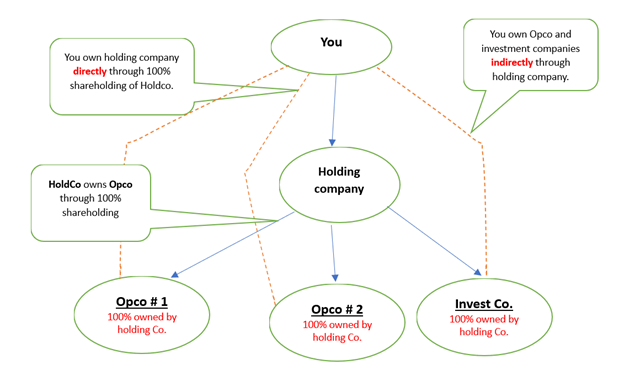 Holding Company vs. Operating Company